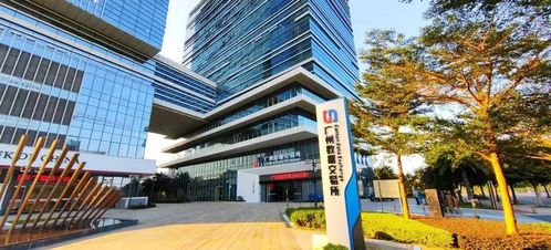 掘金数字经济，肇庆掌握发展秘钥