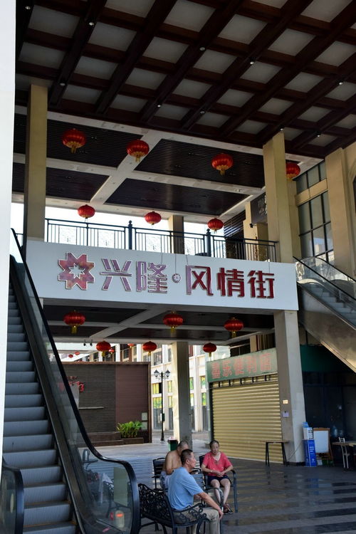 2024夏 海南环岛行 64 在兴隆喝咖啡，瑞阁兴的味道